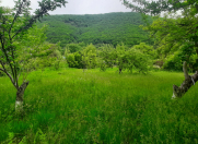 Satılır 20 sot torpaq Göygöl