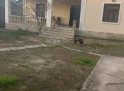 İcarəyə verilir 4 otaqlı 100 m2 həyət evi Qaraçuxur