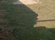 Satılır 3 sot torpaq Buzovna