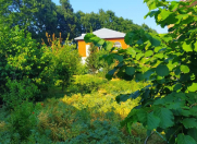 İcarəyə verilir 4 otaqlı 130 m2 bağ evi Lənkəran