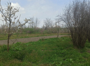 Satılır 22 sot torpaq Xaçmaz