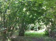 Satılır 2 otaqlı 13 m2 köhnə tikili Oğuz