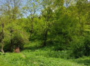 Satılır 2 otaqlı 45 m2 həyət evi Quba