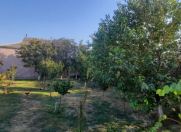 Satılır 14 sot torpaq Sulutəpə