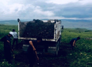 Satılır 1 sot torpaq Badamdar