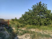 Satılır 3 otaqlı 136 m2 həyət evi Gəncə