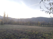 Satılır 11 sot torpaq Quba