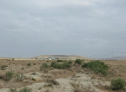 Satılır 310 sot torpaq Perekeşkül