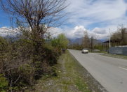 Satılır 18 sot torpaq Qəbələ