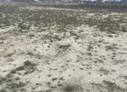 Satılır 50 sot torpaq Zabrat 2