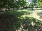 Satılır 27 sot torpaq Qəbələ