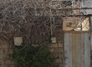 Satılır 2 otaqlı 100 m2 həyət evi Binəqədi