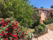 Satılır 6 sot torpaq Badamdar