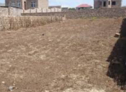 Satılır 8 sot torpaq Sea Breeze Resort