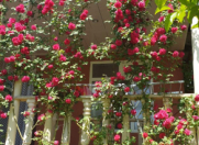 Satılır 4 otaqlı 150 m2 bağ evi Qəbələ