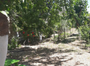 Satılır 5 otaqlı 340 m2 bağ evi Bilgəh