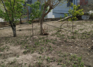 Satılır 2 otaqlı 70 m2 həyət evi Xırdalan