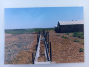 Satılır 120 sot torpaq İmişli