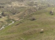 Satılır 17 sot torpaq Atyalı