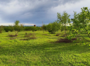 Satılır 1.2 sot torpaq Qəbələ