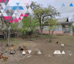 Satılır 2 otaqlı 2300 m2 həyət evi Qazax