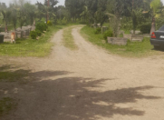 Satılır 1.4 sot torpaq Lənkəran