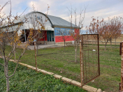 Satılır 100 sot torpaq Oğuz