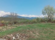 Satılır 12 sot torpaq Qəbələ