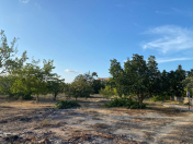 Satılır 33 sot torpaq Şüvəlan