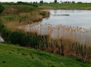 Satılır 35 sot torpaq Xaçmaz