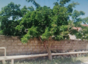 Satılır 6 sot torpaq Xəzər r.