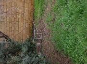 Satılır 6 sot torpaq Şağan