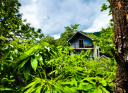 İcarəyə verilir 3 otaqlı 100 m2 villa Zaqatala