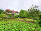 Satılır 6 otaqlı 220 m2 bağ evi İsmayıllı