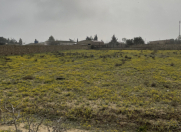 Satılır 12 sot torpaq Zirə