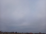 Satılır 24 sot torpaq Bilgəh