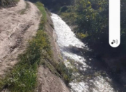 Satılır 43 sot torpaq Quba