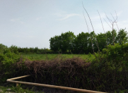 Satılır 18 sot torpaq Göyçay