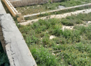 Satılır 10 sot torpaq Saray