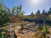 Satılır 8 sot torpaq Şüvəlan