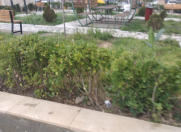 Satılır 2 otaqlı 57 m2 yeni tikili Masazır