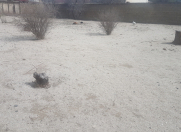 Satılır 9 sot torpaq Corat