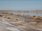 Satılır 10 sot torpaq Saray