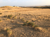 Satılır 8 sot torpaq Fatmayı