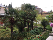 Satılır 12 sot torpaq Rəsulzadə