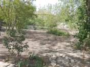 Satılır 7 sot torpaq Zərdab