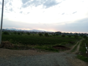 Satılır 105 sot torpaq Gəncə