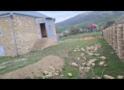 Satılır 1 otaqlı 36 m2 həyət evi Gədəbəy