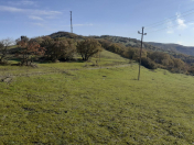 Satılır 100 sot torpaq Şabran