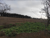 Satılır 34 sot torpaq Samux